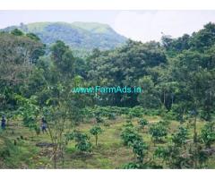 12 acres Robusta coffee estate for sale near Sakleshpur
