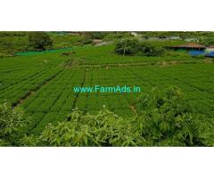 3 acres farm land for sale in Ooty