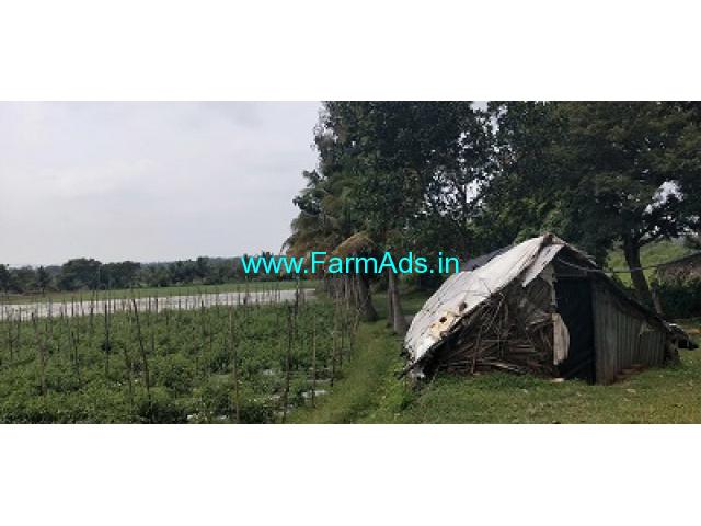 2.16 acre Coconut Farm Land for Sale near Mysore 2.16 acre Coconut Farm Land for Sale near Mysore