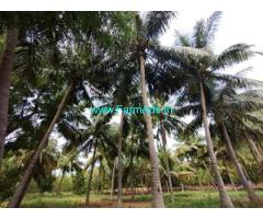 32 Acres Farm Land for Sale Oddanchatram  To Vedsandur Road