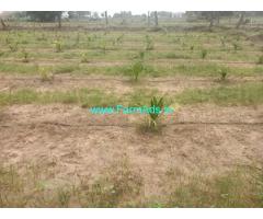 1.34 acres tree land sale near Kolala