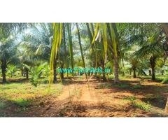 7 Acres Beautiful Small Age Coconut Farm For Sale In Kovilpalayam