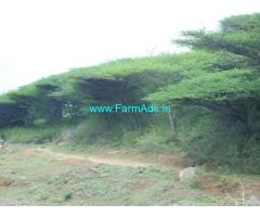 7 Acer Farm Land  For Sale At Palayan