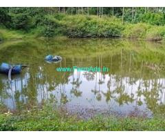 Well Maintained Robusta coffee estate 35 Acres Sale near Hornadu Well Maintained Robusta coffee estate 35 Acres Sale near Hornadu