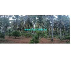 11 Acres developed farmland for sale near Madhugiri