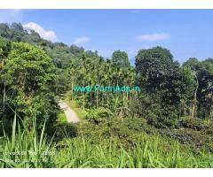 24 acre well maintained Coffee Estate sale in Mudigere