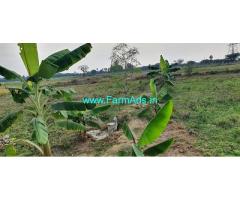 4.59 Acres Farm Land for Sale just 1.5 hr from Porur