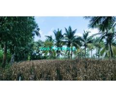 3 acre Farm Land for sale near Hassan