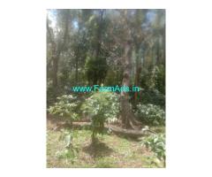 1.7 acre Coffee Estate for Sale near Somwarpet