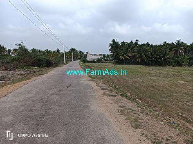 2 acre 20 Gunta Farm Land for Sale near Sira 2 acre 20 Gunta Farm Land for Sale near Sira