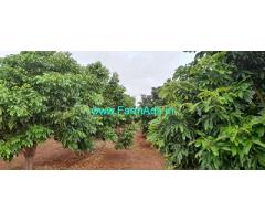 82 Acres Farm land Sale Near Somalapuram