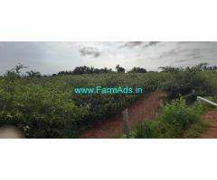 82 Acres Farm land Sale Near Somalapuram