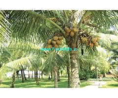 1.60 Acres Agri land with RCC House for Sale in Vittla 1.60 Acres Agri land with RCC House for Sale in Vittla