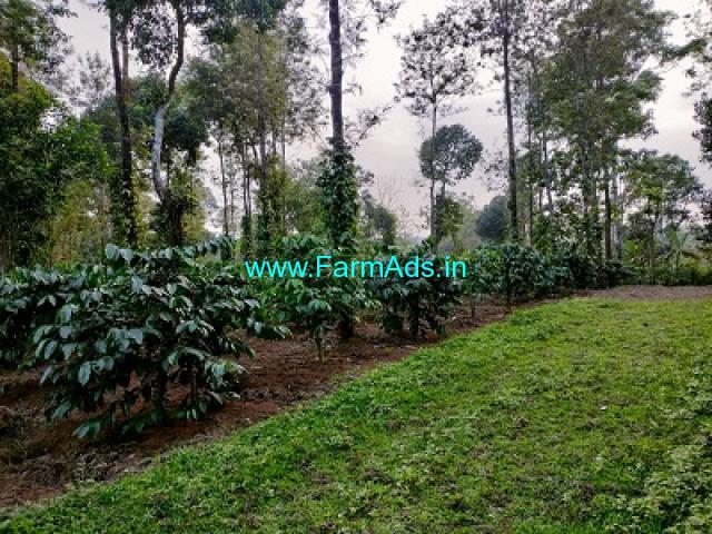 3.50 Acre Coffee Estate For Sale In Kodagu 3.50 Acre Coffee Estate For Sale In Kodagu