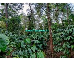 3.50 Acre Coffee Estate For Sale In Kodagu 3.50 Acre Coffee Estate For Sale In Kodagu