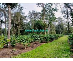 3.50 Acre Coffee Estate For Sale In Kodagu 3.50 Acre Coffee Estate For Sale In Kodagu