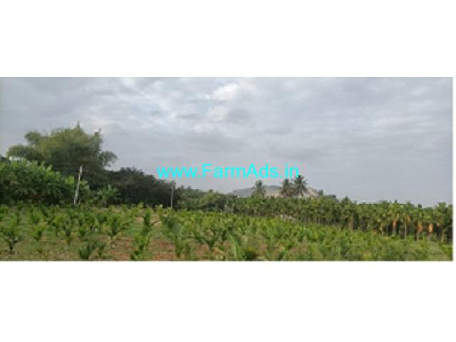 6 Acres Areca plantation for sale near Koratagere 6 Acres Areca plantation for sale near Koratagere