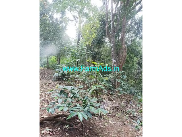 Flowing River touch 3 acre coffee estate for sale in Somwarpet Flowing River touch 3 acre coffee estate for sale in Somwarpet