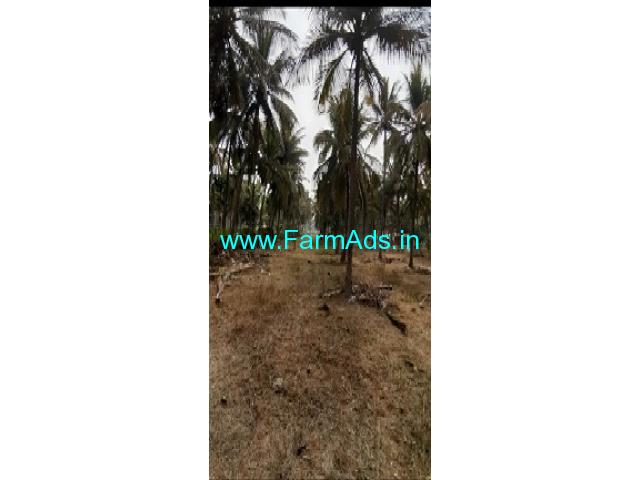 18.5 gunta coconut Farm land for Sale near Channapatna 18.5 gunta coconut Farm land for Sale near Channapatna