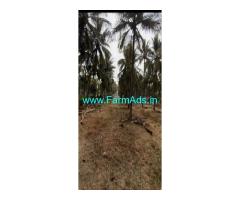 18.5 gunta coconut Farm land for Sale near Channapatna