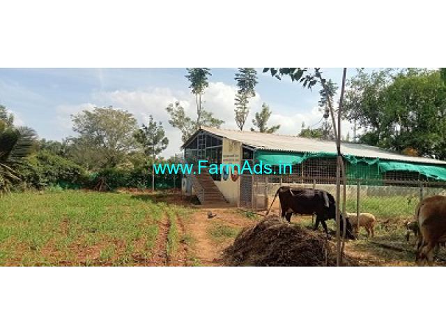2.75 Acres Farm for Sale near Mandya 2.75 Acres Farm for Sale near Mandya