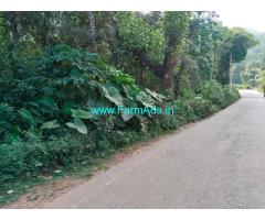 3 acres Coffee Estate for Sale near Mudigere 3 acres Coffee Estate for Sale near Mudigere