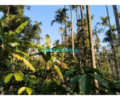 3 acres Coffee Estate for Sale near Mudigere 3 acres Coffee Estate for Sale near Mudigere