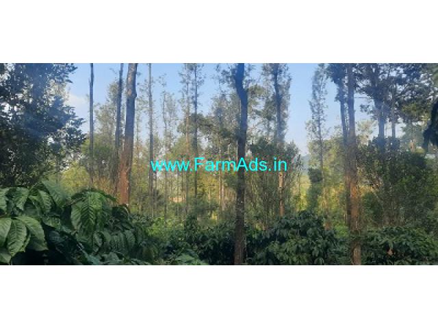 4 Acre Maintained Coffee Estate For Sale In Madikeri 4 Acre Maintained Coffee Estate For Sale In Madikeri