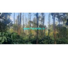 4 Acre Maintained Coffee Estate For Sale In Madikeri