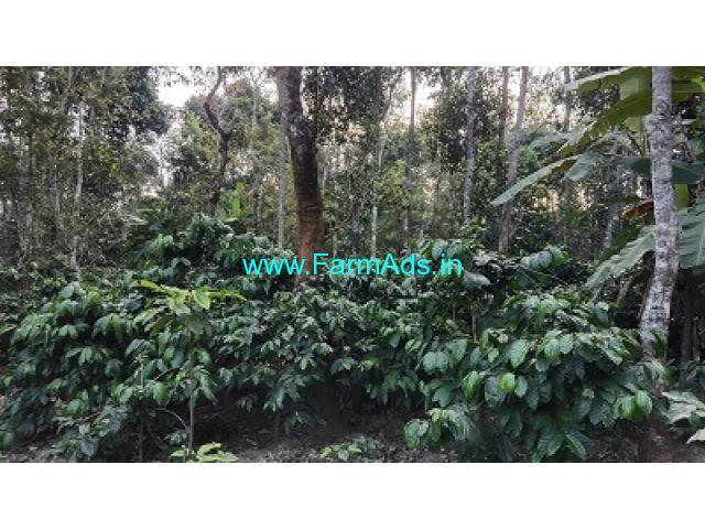3.5 acre coffee estate for Sale near Belur 3.5 acre coffee estate for Sale near Belur
