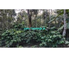 3.5 acre coffee estate for Sale near Belur