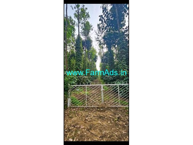4 acre 27 gunta coffee plantation for Sale from Sakleshpur 4 acre 27 gunta coffee plantation for Sale from Sakleshpur
