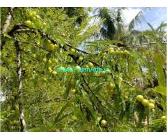 45 acres Farm Land Sale near Bathalgudu