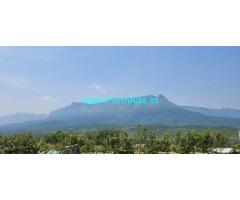 4 acre Farm land sale in Chikmagalur