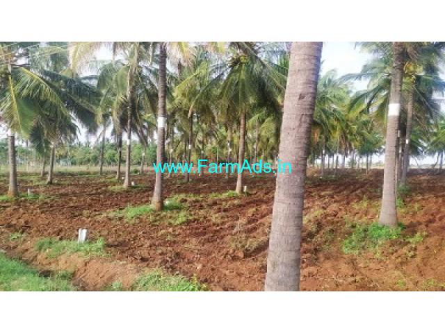 8 acres agriculture land for sale in Arsikere 8 acres agriculture land for sale in Arsikere
