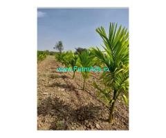 8 acre Farm land for Sale near Hiriyur