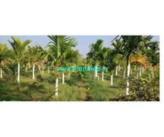5 Acres ready farmhouse for sale between Sira and Hiriyur