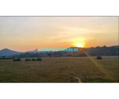 1 acre land for sale in Sakleshpur