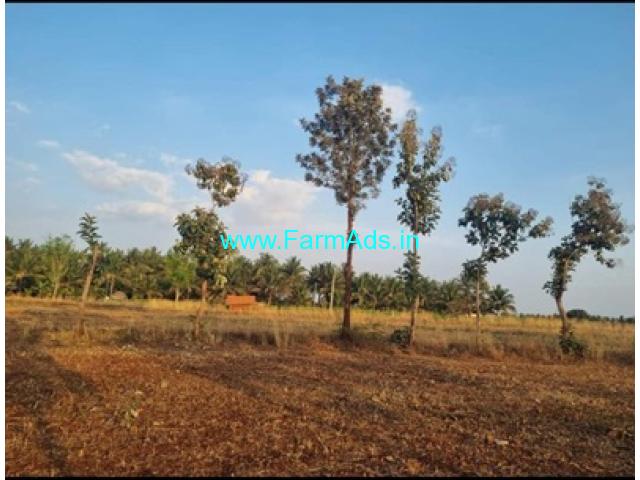 2.08 acres Farm land for Sale In Turuvekere 2.08 acres Farm land for Sale In Turuvekere
