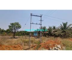 5 acre Arecanut Farm Land for Sale near Kunigal