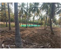 1 acre 6 Gunta Farm Land for Sale near Hiriyur