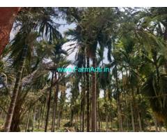 2.14 acres Areca tree land sale near Kolala