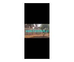 1 acre mango farm Land for Sale near Thippasandra