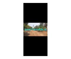 1 acre mango farm Land for Sale near Thippasandra