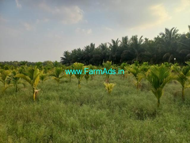 2 acre Arecanut farm land Sale in Hiriyur 2 acre Arecanut farm land Sale in Hiriyur
