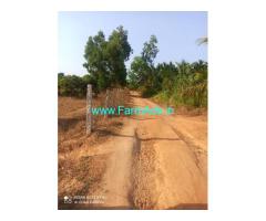 3 Acres 25 Guntas Mango Farm for Sale near Magadi