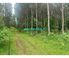 10 acre coffee estate for sale in Belur