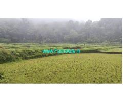 6.5 acre Farm land sale in Sakleshpur