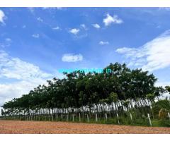 1 acre 17 gunta farm land for sale in Doddabelavangala