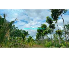1 acre 17 gunta farm land for sale in Doddabelavangala